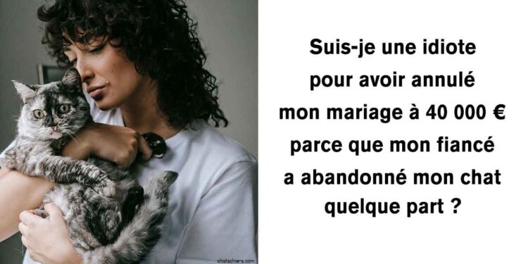 femme annule mariage découvert fiancé abandonné chat