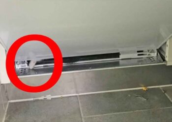 femme vu quelque chose moelleux lave-vaisselle