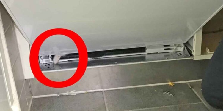 femme vu quelque chose moelleux lave-vaisselle