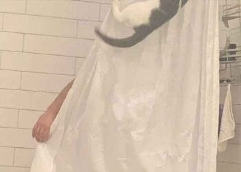 mari criait sous la douche