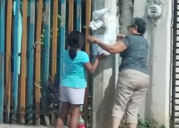 petite-fille aidé grand-mère chercher chien