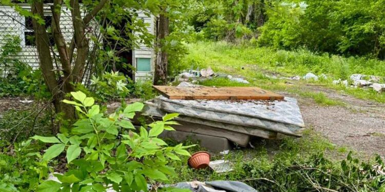 Six chiots pleuraient sur un matelas déchiré