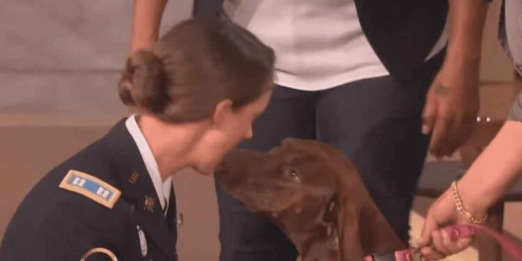 Une rencontre entre une militaire et son chien après un an de séparation. L'enregistrement m'a ému jusqu'aux larmes 1 rencontre entre militaire et chien après un an séparation