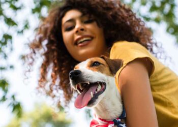 vétérinaire montré propriétaire avait retiré estomac chien