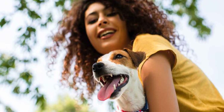 Le vétérinaire a montré à la propriétaire du chien ce qu'il avait retiré de l'estomac du chien. Elle est devenue rouge 1 vétérinaire montré propriétaire avait retiré estomac chien