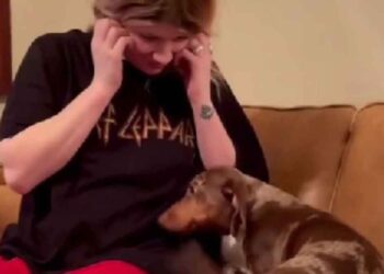 Elle a toujours dit qu elle n aimait pas les chiens