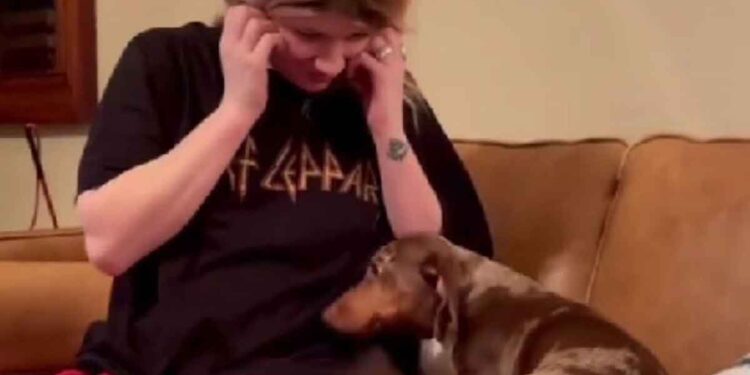 Elle a toujours dit qu'elle n'aimait pas les chiens. La réaction de son amie face au teckel a mis leur amitié à l'épreuve 1 Elle a toujours dit qu elle n aimait pas les chiens