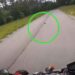Il gisait au milieu de la route et ne pouvait pas bouger. Le motocycliste a freiné au dernier moment 4 Il gisait au milieu de la route et ne pouvait pas bouger