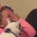 La fille a commencé à pleurer fort. La réaction du chat dépasse nos attentes les plus folles 3 La fille a commencé à pleurer fort. La réaction du chat dépasse nos attentes les plus folles