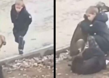 Le garçon fit un geste touchant