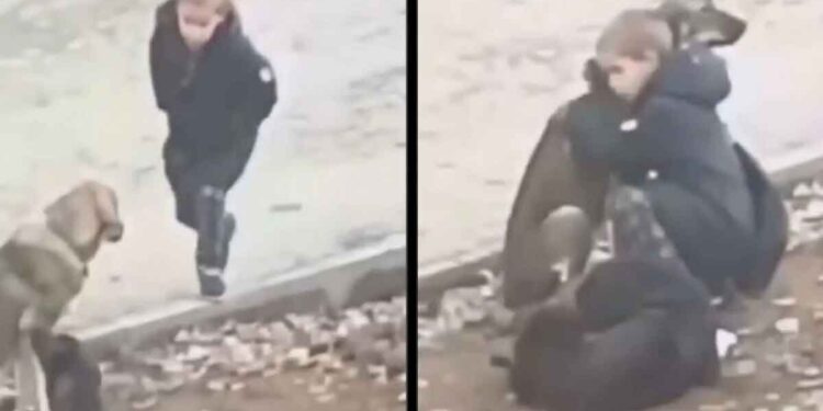 Le garçon fit un geste touchant. Tout amoureux des animaux devrait suivre son exemple 1 Le garçon fit un geste touchant