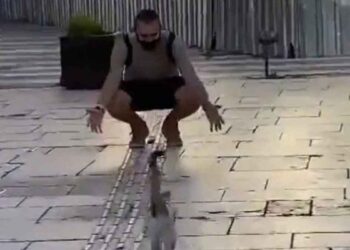 homme voulait accueillir le chat à bras ouverts