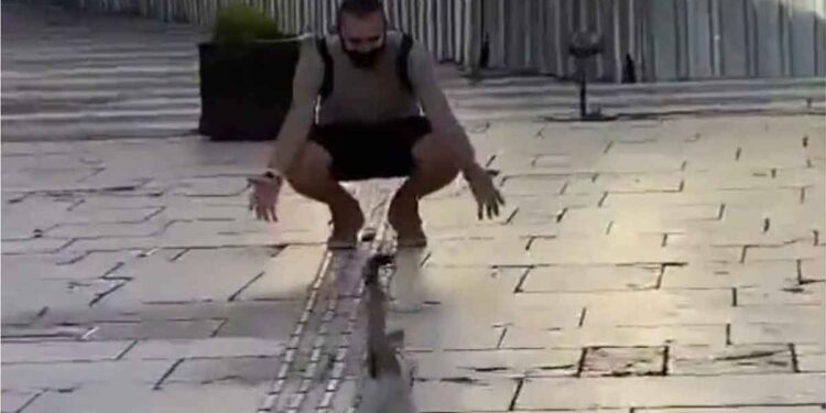 L'homme voulait accueillir le chat à bras ouverts. Le félin avait autre chose en tête 1 homme voulait accueillir le chat à bras ouverts