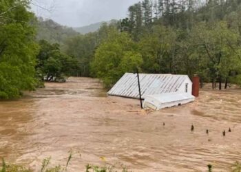 Une famille sous le choc en voyant son chat flotter sur le toit pendant les inondations de l’ouragan Helene