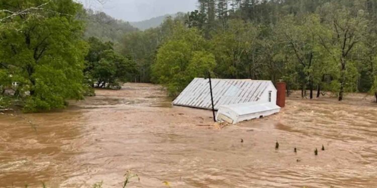 Une famille sous le choc en voyant son chat flotter sur le toit pendant les inondations de l’ouragan Helene