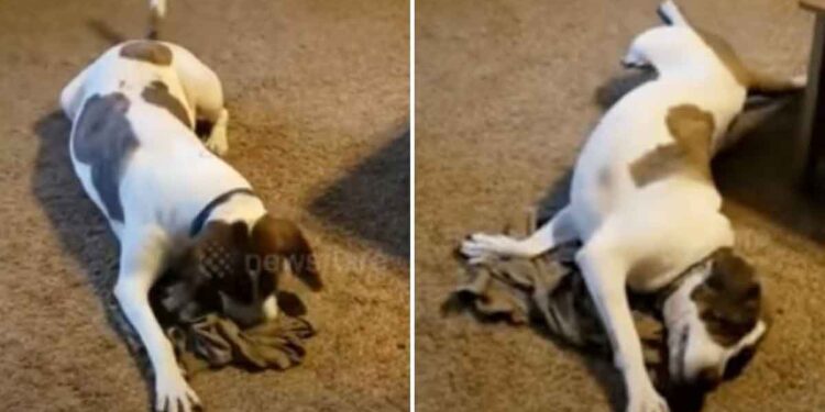 Un soldat envoie un cadeau spécial à sa maison