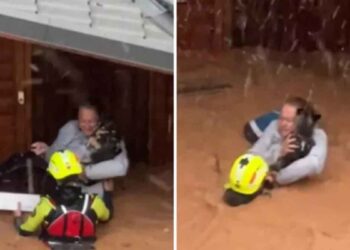 Une femme et son chien sauvés par hélicoptère lors de crues soudaines meurtrières en Espagne