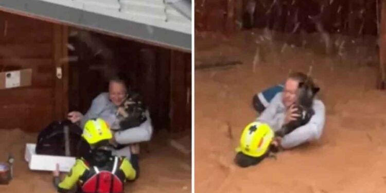 Une femme et son chien sauvés par hélicoptère lors de crues soudaines meurtrières en Espagne