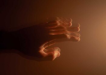 Les effets imprévus des traitements anti-Parkinson : un homme tue un chien et torture des dizaines de chats