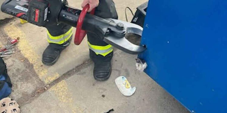 Un chat curieux coincé dans une benne à ordures sauvé par des pompiers équipés de machines lourdes