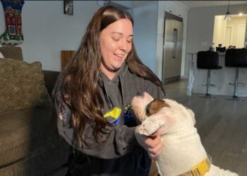 La famille Tuffin retrouve son chiot perdu après cinq ans