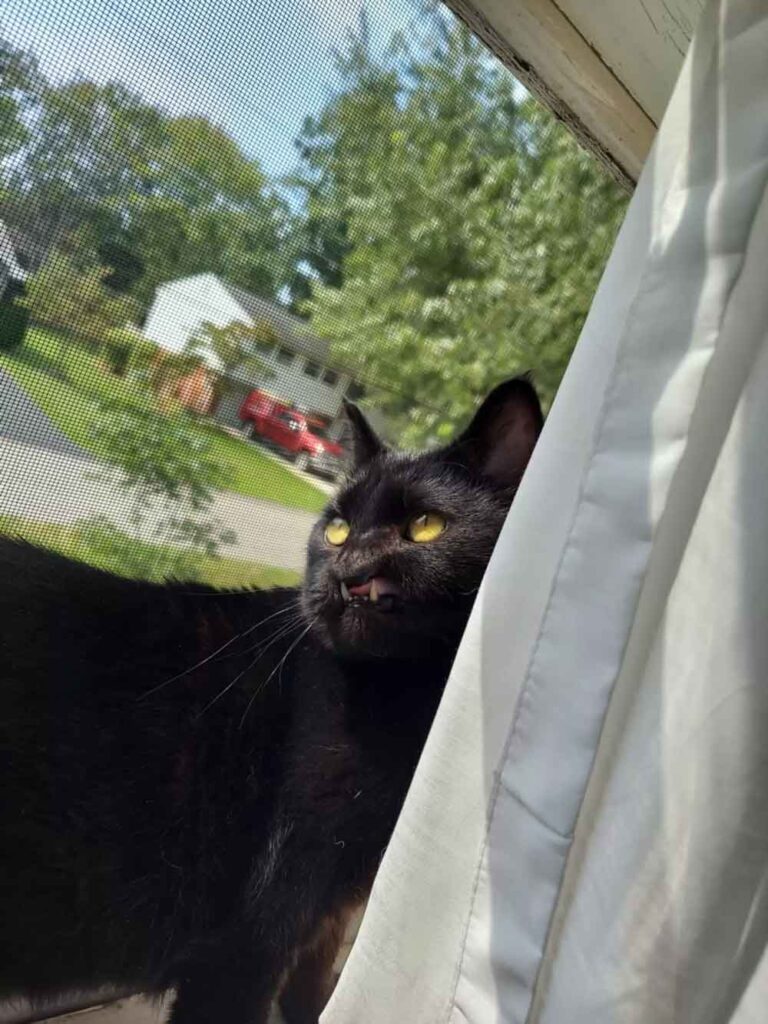 Onyx