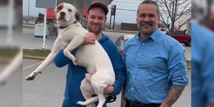 Un chien de refuge trouve un nouveau foyer, pour ensuite retrouver sa famille d'origine 1 Un chien de refuge trouve un nouveau foyer, pour ensuite retrouver sa famille d origine