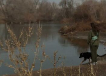 Un père courageux saute dans les eaux glacées pour sauver son chien coincé dans un étang gelé