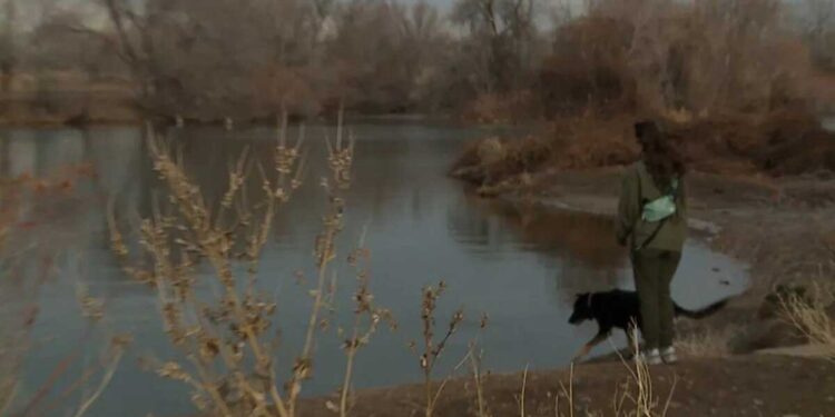 Un père courageux saute dans les eaux glacées pour sauver son chien coincé dans un étang gelé