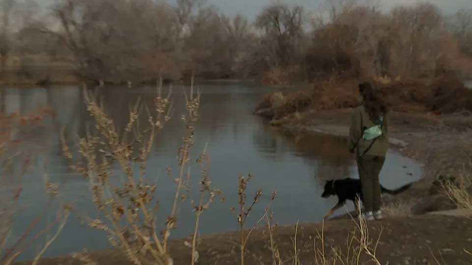 Un père courageux saute dans les eaux glacées pour sauver son chien coincé dans un étang gelé