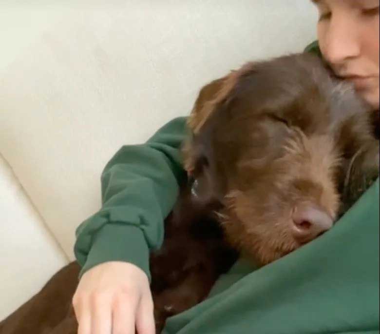 Une chienne de refuge découvre la liberté lors d’une balade et exprime sa gratitude à sa bienfaitrice 2 sickle