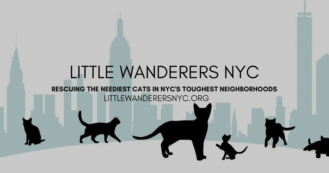 Little Wanderers NYC
