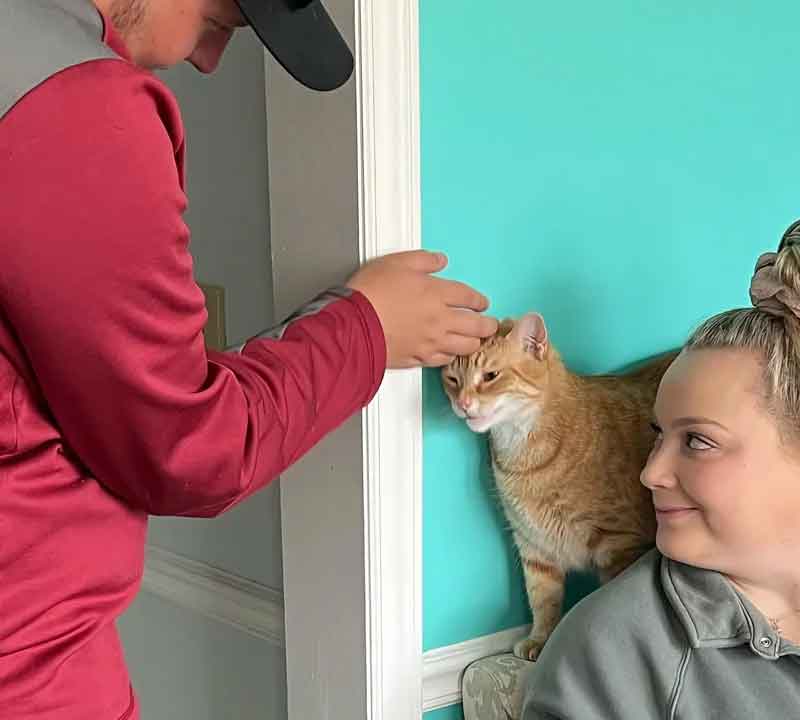 Un chat trouve un foyer pour toujours après 848 jours d'attente et se blottit entre sa nouvelle famille 7 Un chat trouve un foyer pour toujours après 848 jours d attente et se blottit entre sa nouvelle famille