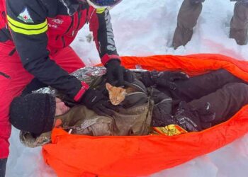 Un chaton sauve la vie d un randonneur pris dans une puissante tempête de neige