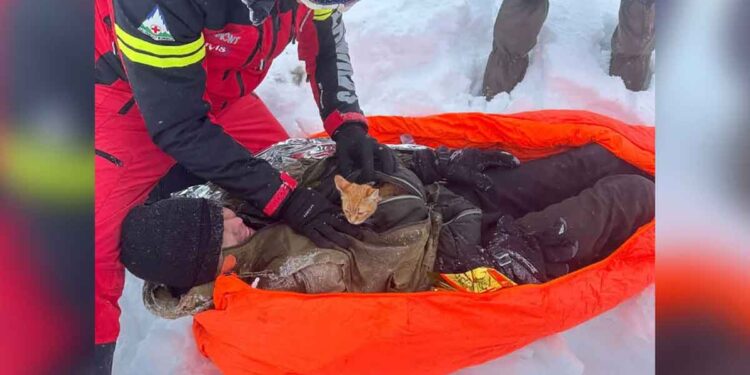 Un chaton sauve la vie d un randonneur pris dans une puissante tempête de neige