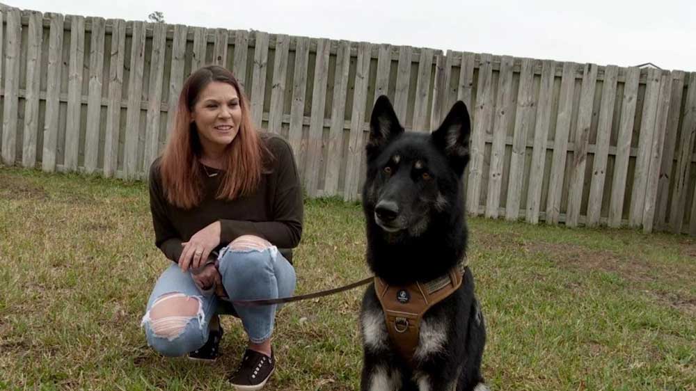 Un chien disparu disparaît pendant 9 jours, revient à la maison la veille de Noël et sonne à la porte