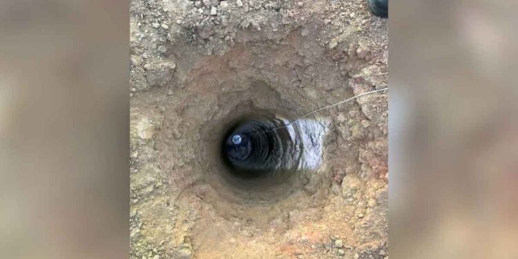 Un homme éclaire un trou profond et trouve deux boules de poils disparues qui ont besoin d'aide