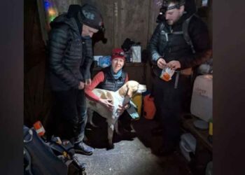 Une coureuse interrompt son ultra-marathon pour sauver un chien perdu et finit sur le podium