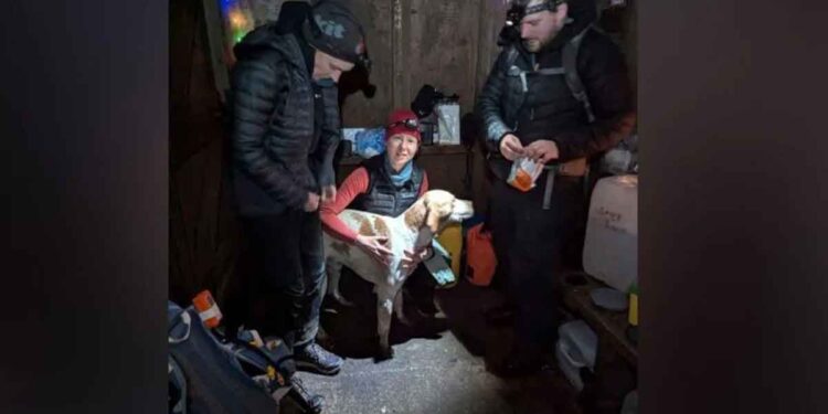 Une coureuse interrompt son ultra-marathon pour sauver un chien perdu et finit sur le podium