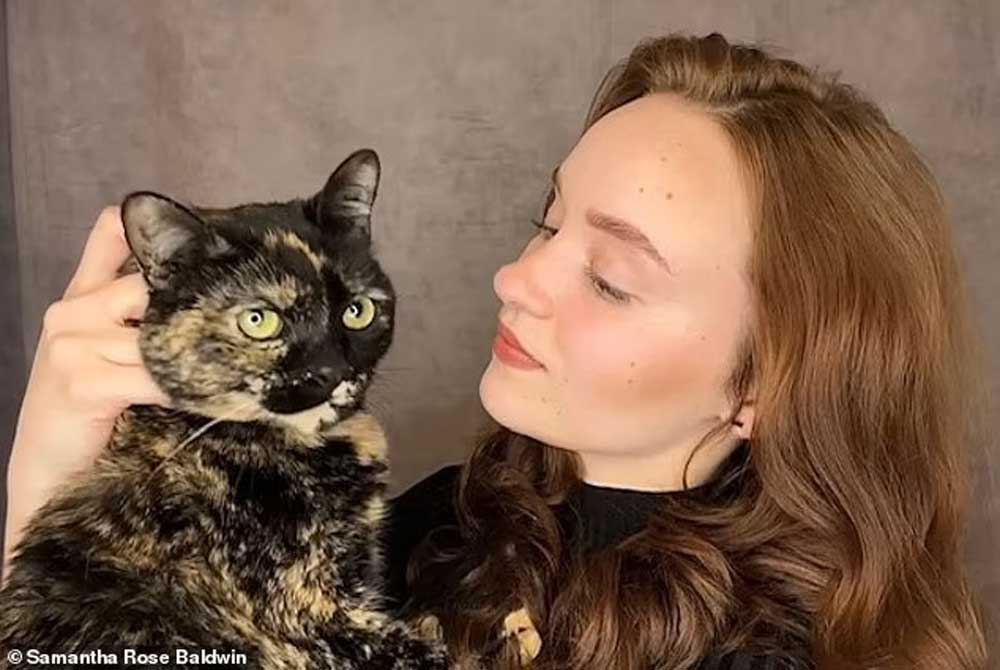 Une jeune actrice court à travers les incendies pour sauver son vieux chat adoré