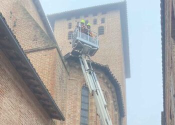 VIDÉO Un sauvetage émouvant un chat coincé 5 jours sur un toit saute de 25 mètres