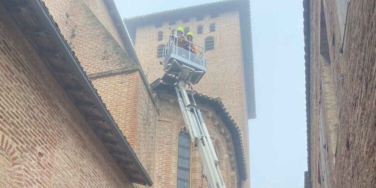 VIDÉO Un sauvetage émouvant un chat coincé 5 jours sur un toit saute de 25 mètres
