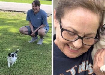 Une chienne aveugle sait toujours quand sa personne préférée est à proximité