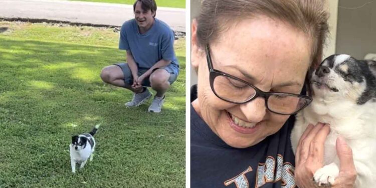 Une chienne aveugle sait toujours quand sa personne préférée est à proximité