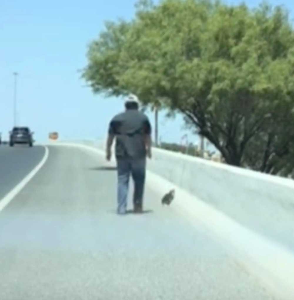 Il pensait que ce n étaient que des débris sur l autoroute