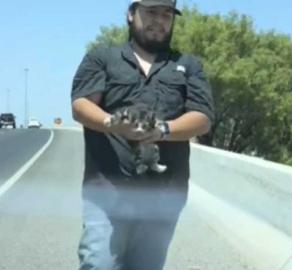 Il pensait que ce n étaient que des débris sur l autoroute