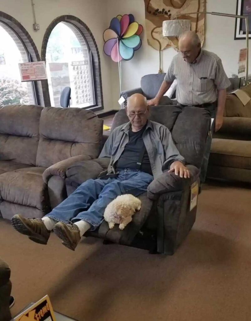 La règle d or d un propriétaire de chien pour acheter un fauteuil fait fondre les internautes