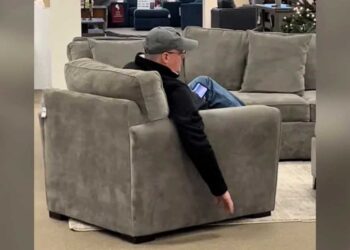 La règle d or d un propriétaire de chien pour acheter un fauteuil fait fondre les internautes