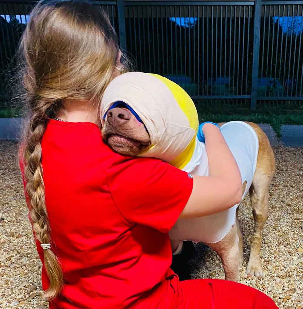 Buddy, le chien qui a été incendié, reçoit des soins de vétérinaires et d'étudiants formés 2 Buddy, le chien qui a été incendié