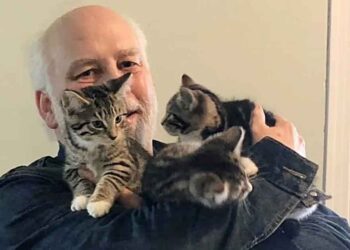 Ils pensaient adopter une chatte et un de ses chatons, mais ils en sont repartis avec le plus grand bonheur possible